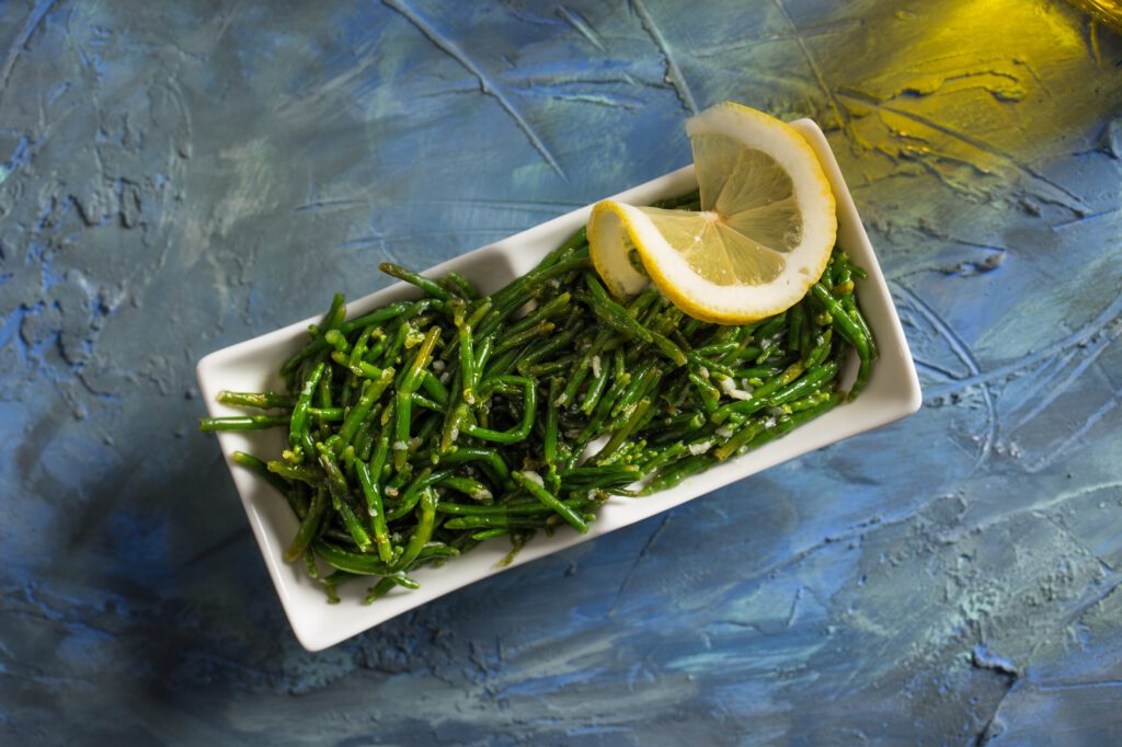 Salicornia Salicornia
