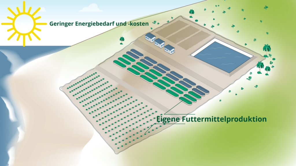 Stilisierte Übersicht der fertigen ProTerra Maroc Farm