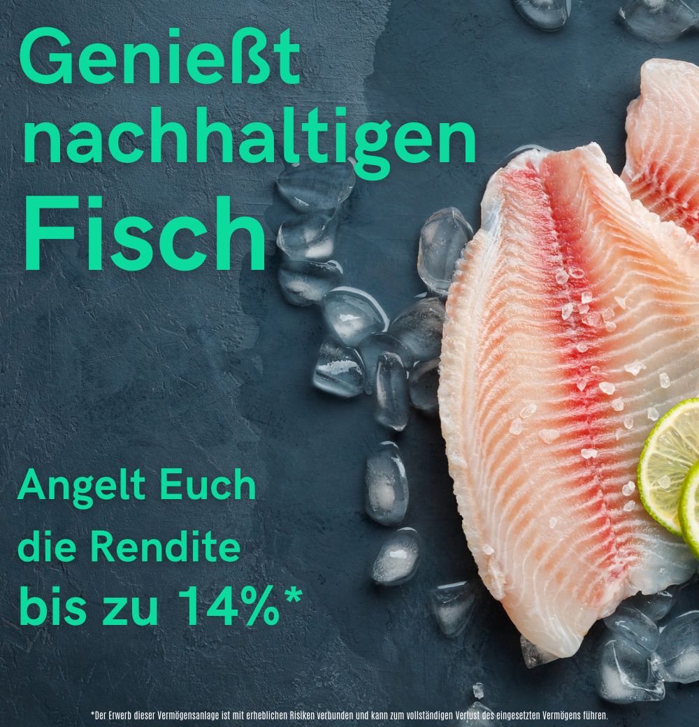 Werbung für Conda Crowdinvesting bis zu 14% Rendite angeln